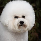 viber_image_2025-10-21_18-44-37-932